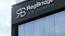 Reg Bridge Project portfolio