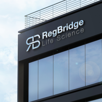 Reg Bridge Project portfolio